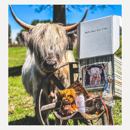 Customized Highland Coo Support Box