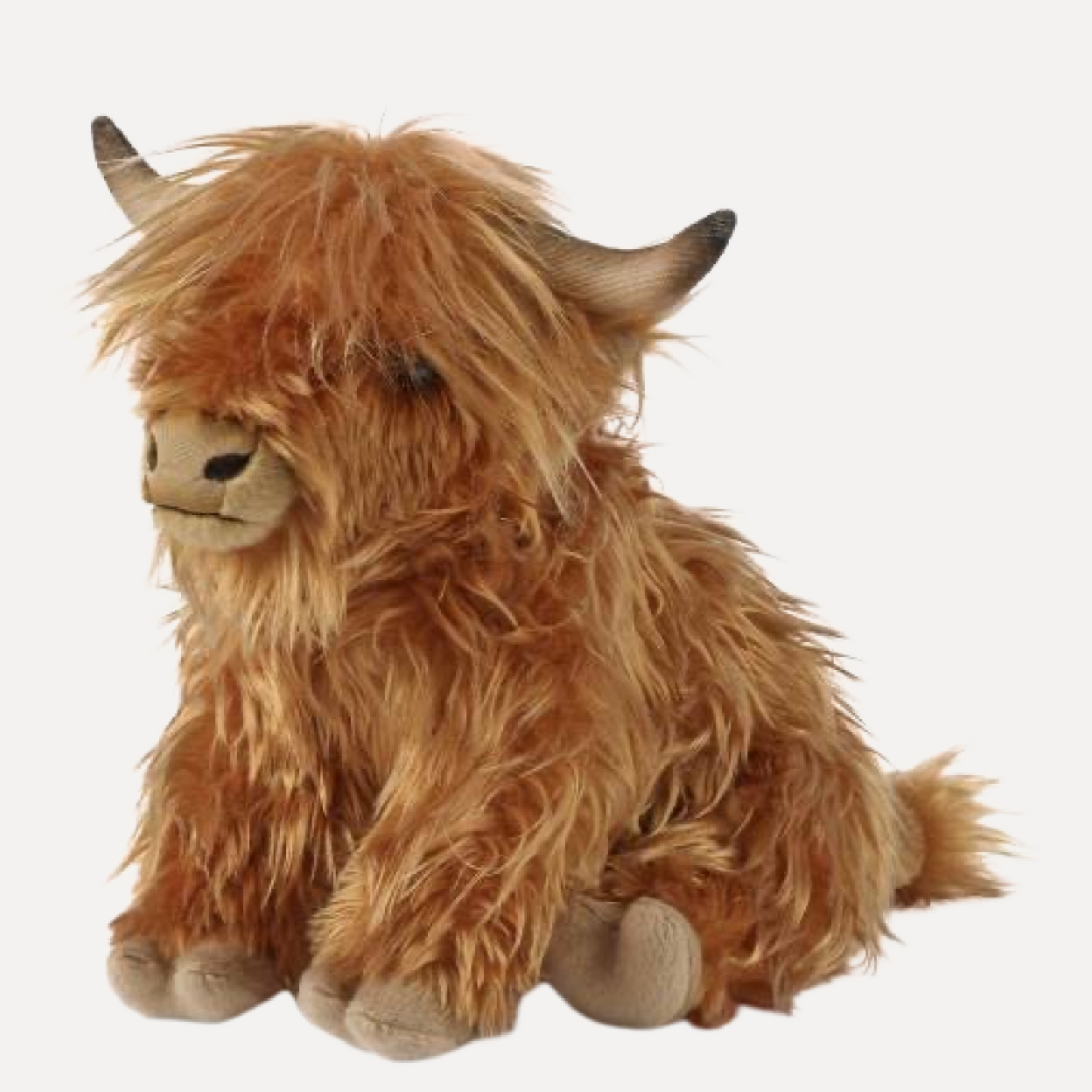 Customized Highland Coo Support Box