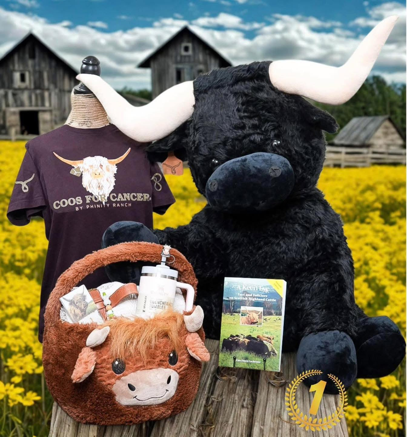 Coos for Cancer Shirt