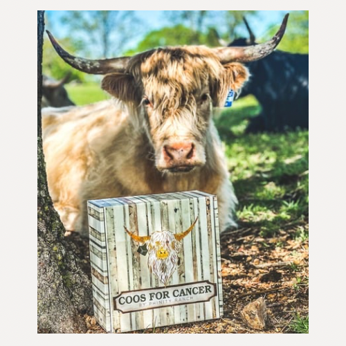 Customized Highland Coo Support Box